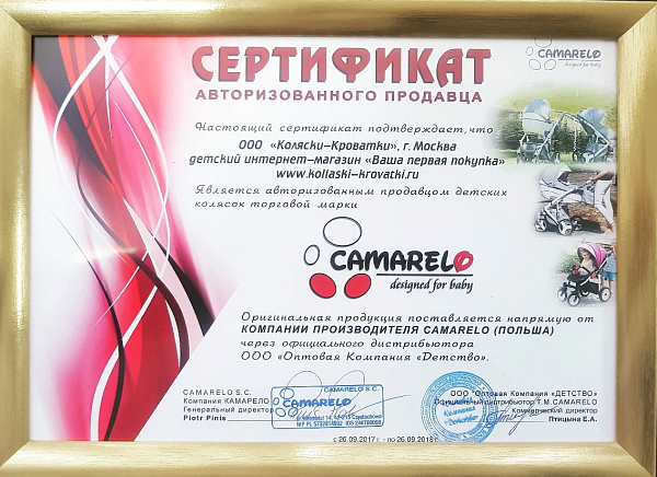 Детская коляска Camarelo Sirion Ecco 2 в 1 фото 7